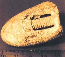 Ancient Screw in Feldspar